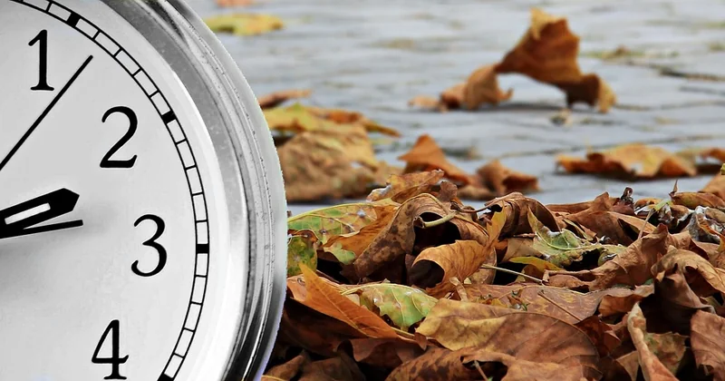 La chronique d'une mort annoncée ? Pas si vite